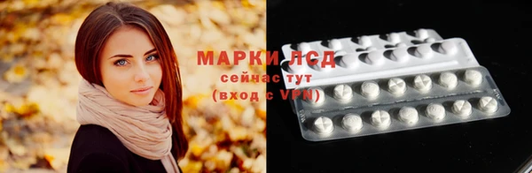 стаф Абинск