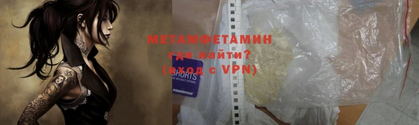 прущие грибы Медногорск