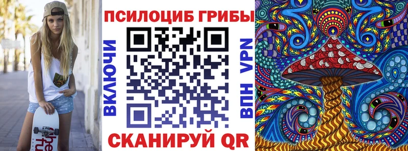 блэк спрут как войти  Алдан  Псилоцибиновые грибы мицелий 
